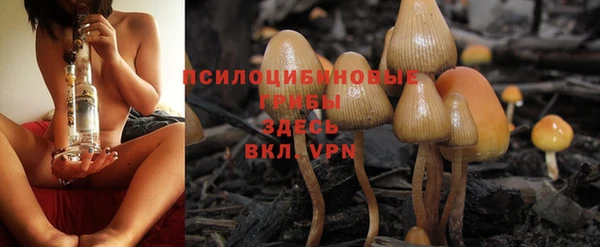 бутират Переславль-Залесский