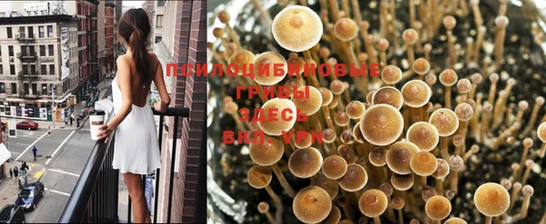 бутират Переславль-Залесский
