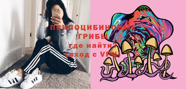 амф Пересвет