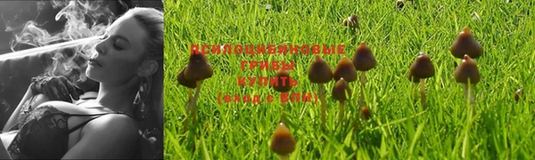 бутират Переславль-Залесский