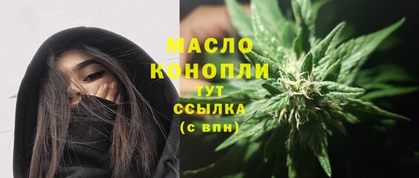 амф Пересвет