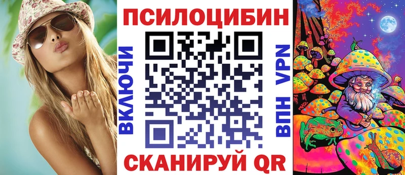 ссылка на мегу ONION  Свободный  Псилоцибиновые грибы мухоморы  купить закладку 